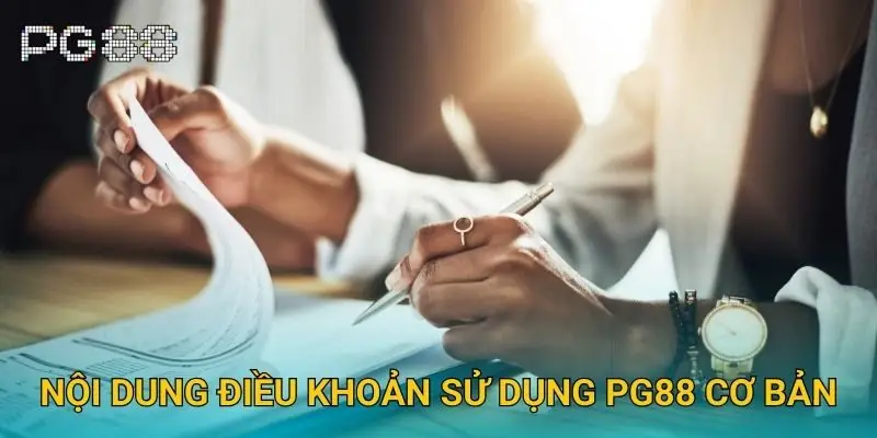 Nội dung điều khoản sử dụng Pg88 cơ bản